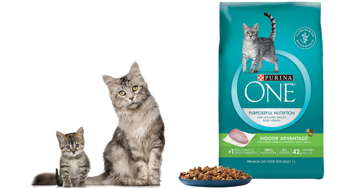 Bolsa GRATIS de Comida para Gatitos Purina ONE