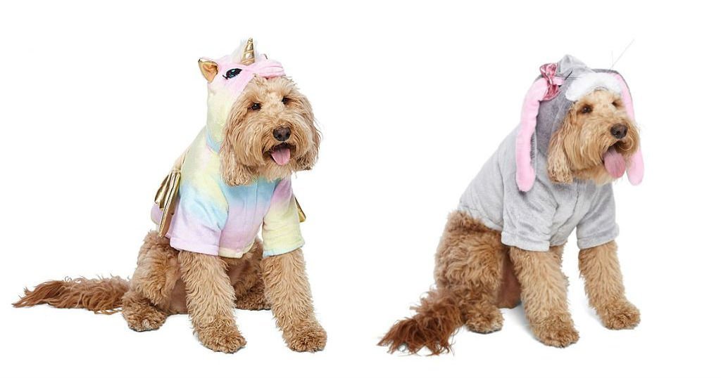Disfraces para Mascotas a solo $4.34 (Reg. $29) JCPenney