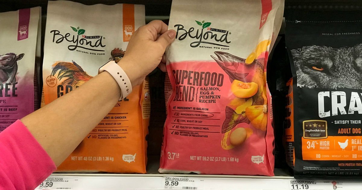 Purina Beyond Dry Dog Food