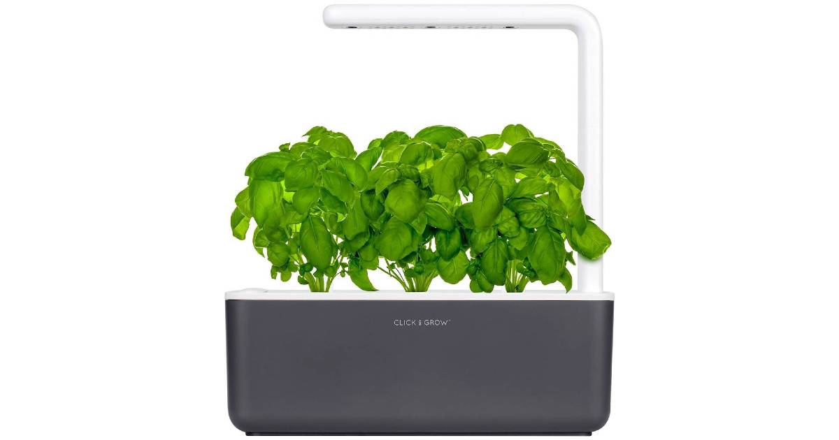 Click & Grow