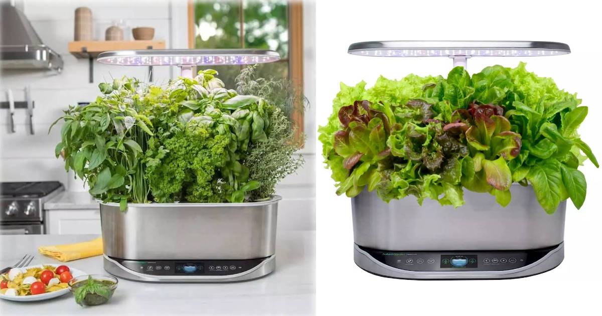 Sistema de Jardinería Doméstica AeroGarden