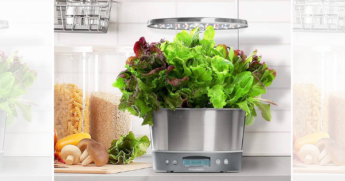 AeroGarden Harvest Elite 360