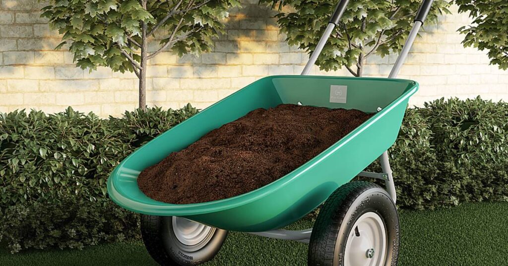 Carretilla para Jardín de 2 ruedas