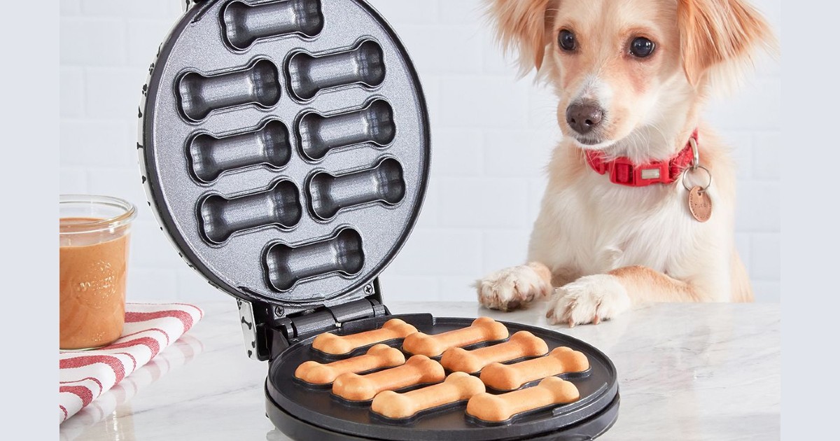 Dash Dog Treat Maker en Kohl's