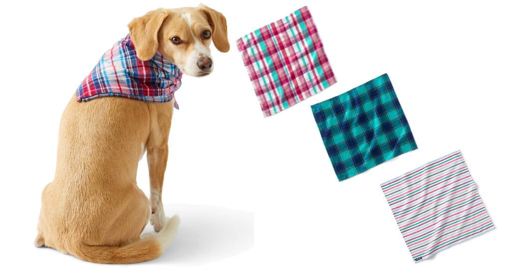 Bandana-Lands-End-Para-Perro