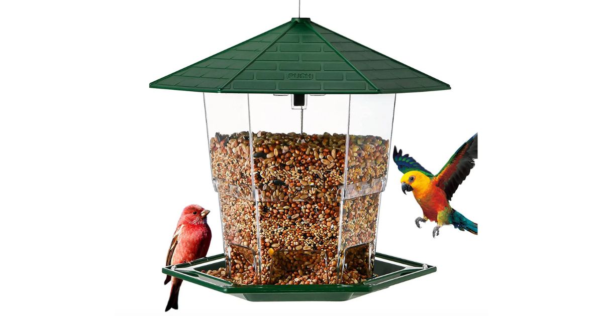 Bird Feeder