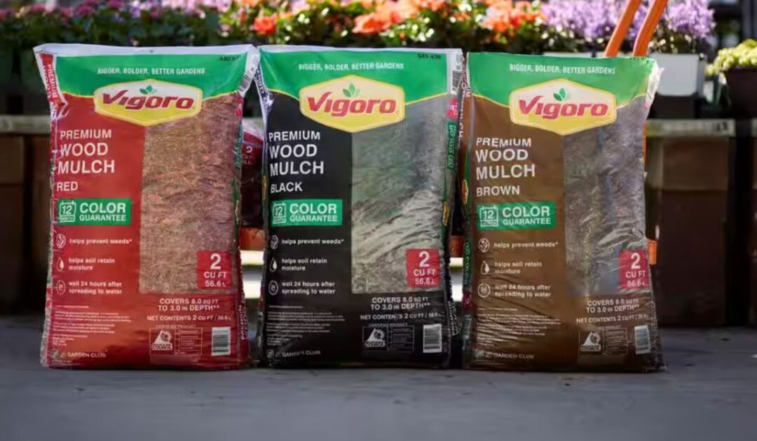 Vigoro Wood Mulch SOLO $2 en Home Depot