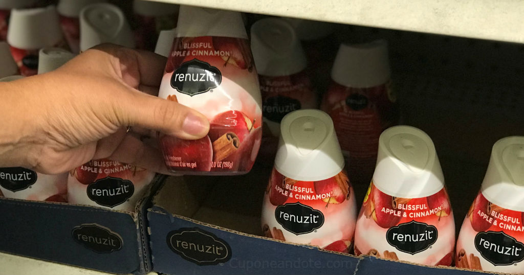 Renuzit Air Freshener Cones