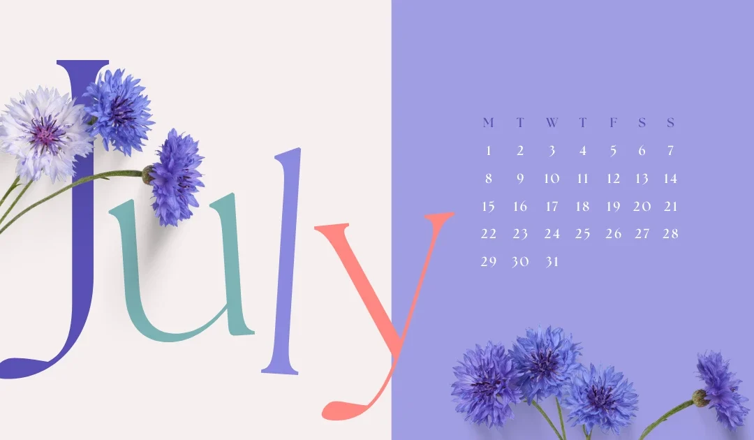 ¿Que Podemos Conseguir al Mejor Precio en el Mes de Julio?
