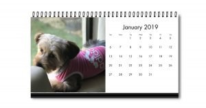 Calendario 4x8 Personalizado con Fotos