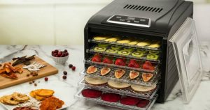 Deshidratador de alimentos Gourmia