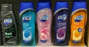 Dial Body Wash 16 oz