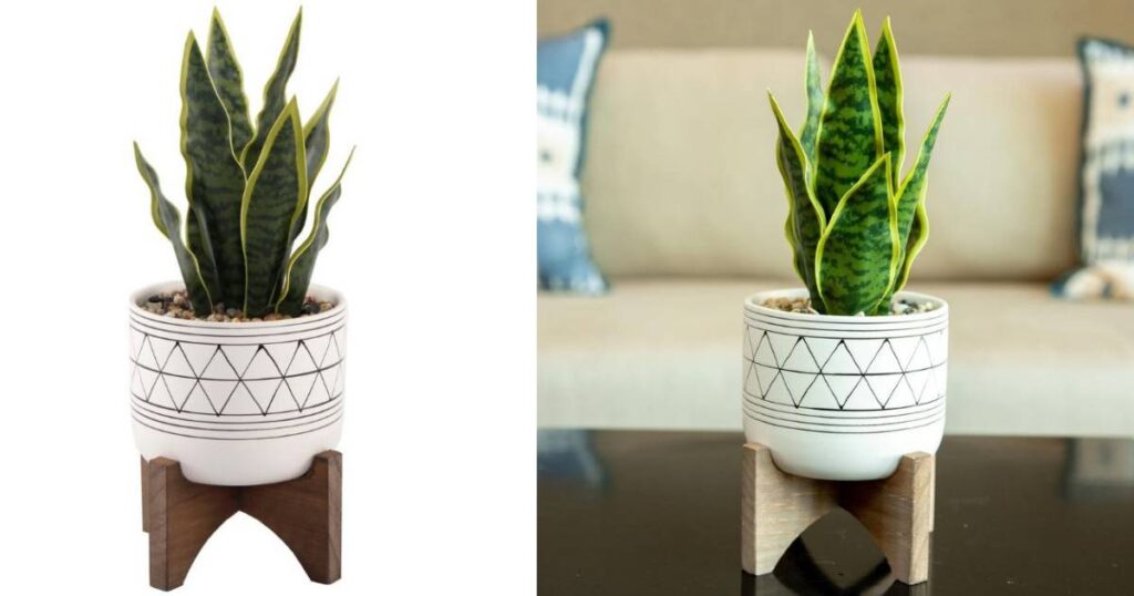 Planta en Tiesto de Cerámica sobre Soporte de Madera