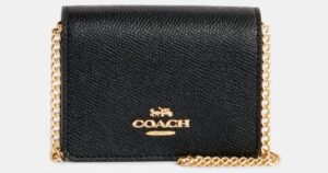 Mini Wallet Coach