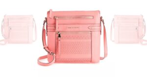 Cartera Dana Buchman Everly
