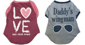 Camisitas para Perritos