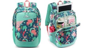 High Sierra Outburst Backpack
