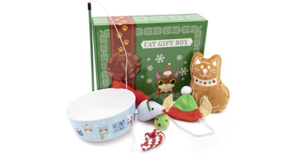Cajas-de-Regalo-Para-Gatitos