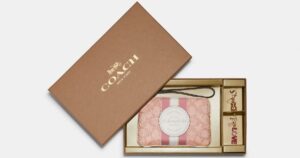 Coach-Boxed-Dempsey-Wristlet-In-Signature-Jacquard