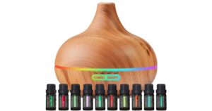 Difusor-de-Aromaterapia-con-10-Aceites-Esenciales