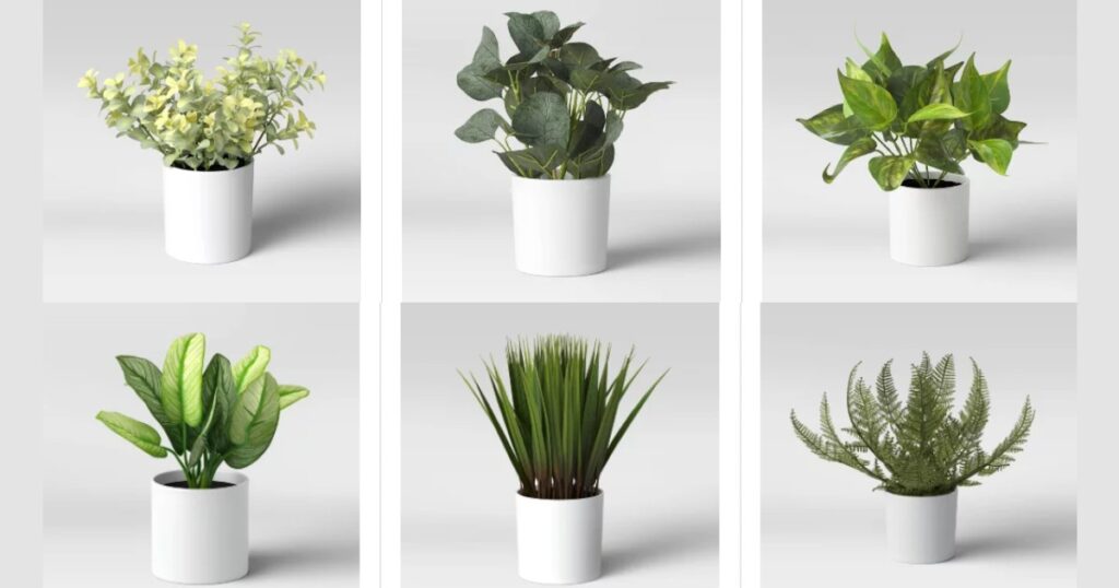 Plantas-Artificiales-Seleccionadas