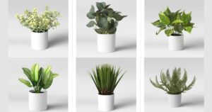 Plantas-Artificiales-Seleccionadas