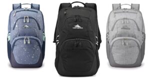Bultos-High-Sierra-Swoop-SG-Backpack