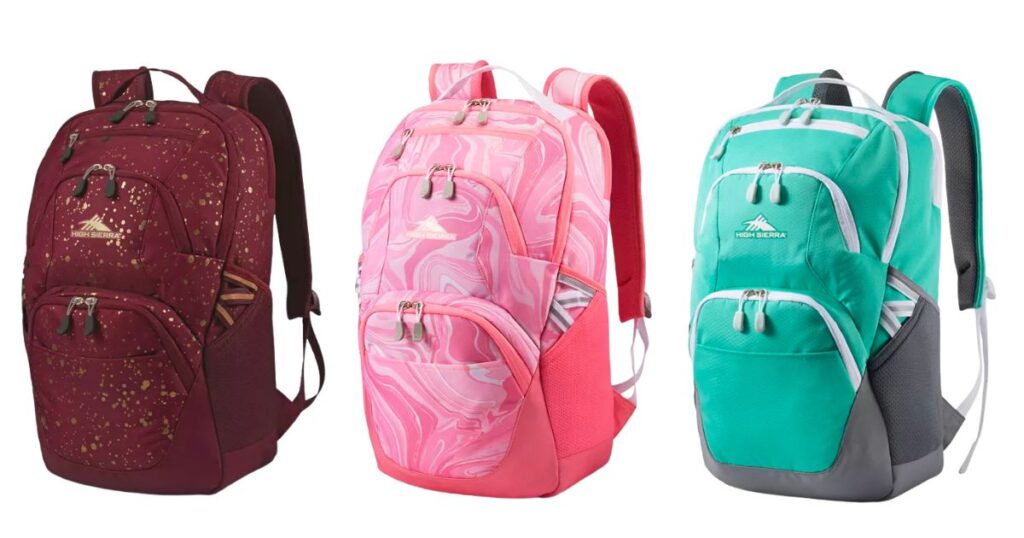 Bultos-High-Sierra-Swoop-SG-Backpack