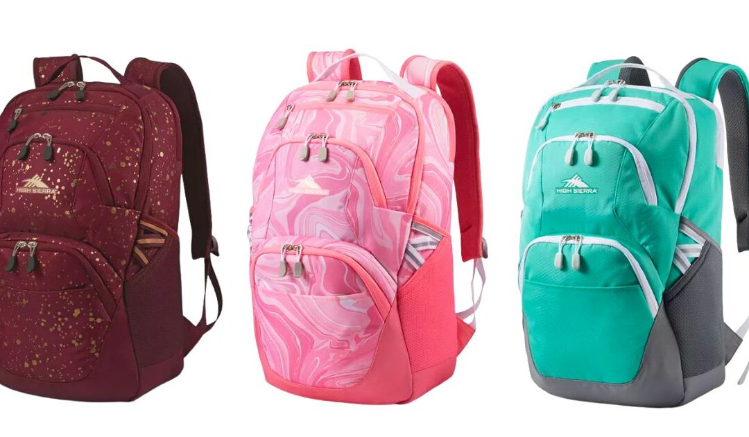 Bultos High Sierra Swoop SG Backpack a solo $29.99 (Reg. $80) en Macy’s