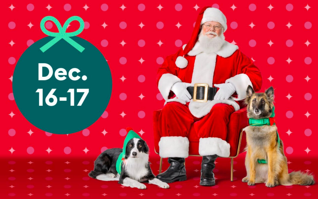 Foto GRATIS de tu Mascota con Santa en PetSmart
