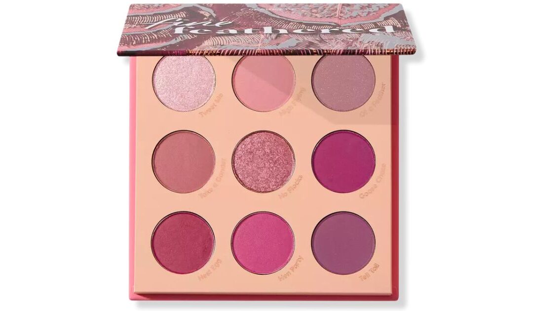 ColourPop Eyeshadow Palette SOLO $5.60 (Reg $14)