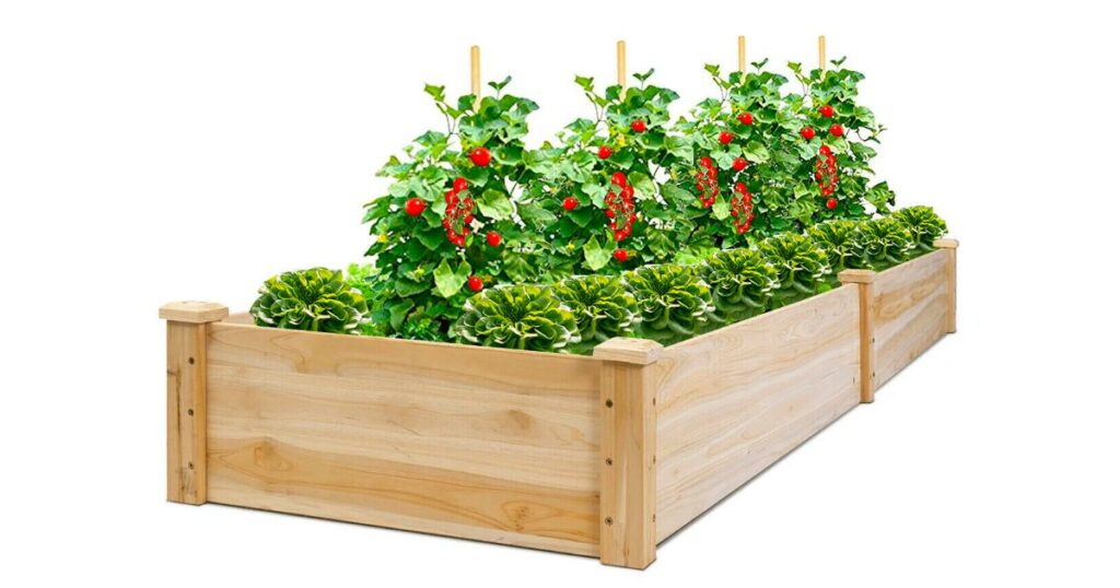 Cama de Jardín de Madera para Sembrar