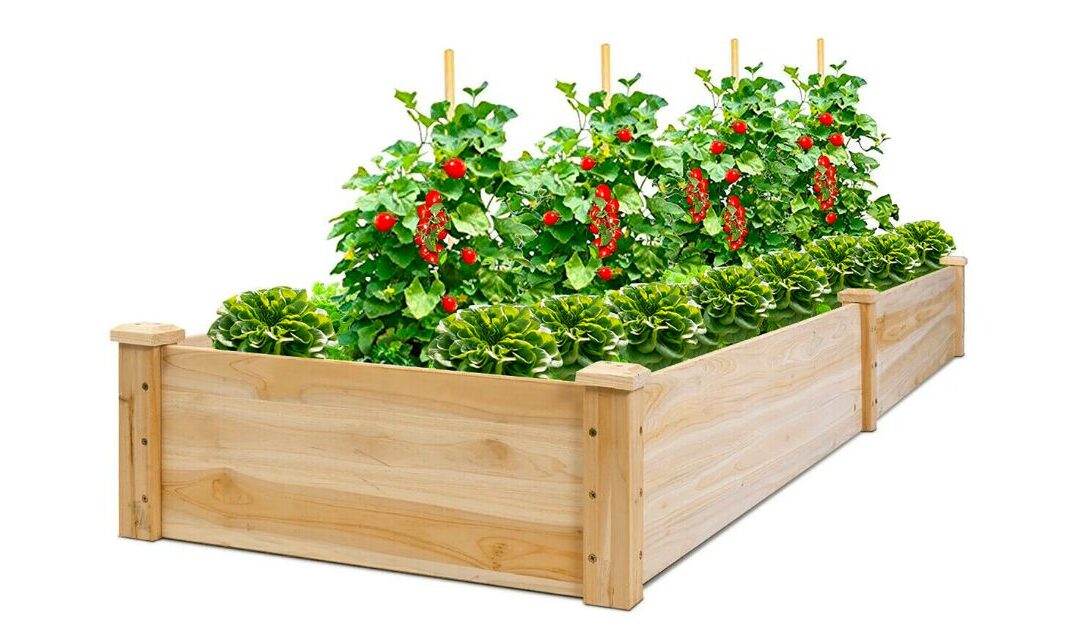Cama de Jardín de Madera para Sembrar SOLO $58.99 en Walmart (Reg. $112)