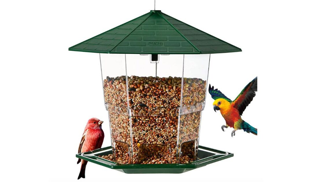 Bird Feeder SOLO $12.19 en Walmart (Reg. $30)