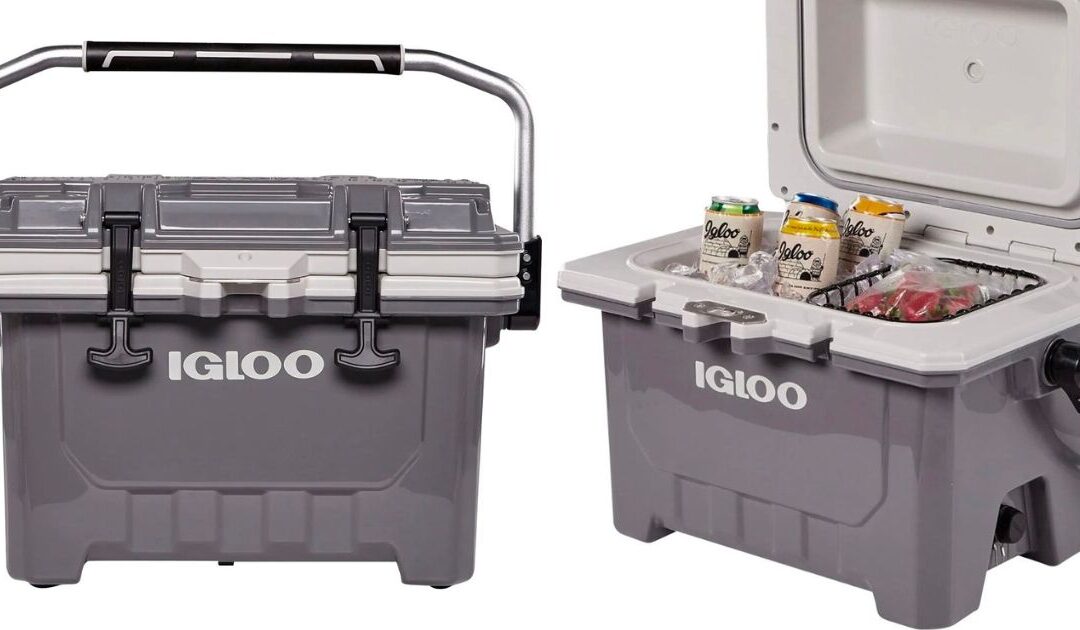 Nevera Igloo IMX 24-Qt SOLO $84.99 en Best Buy (Reg. $150)