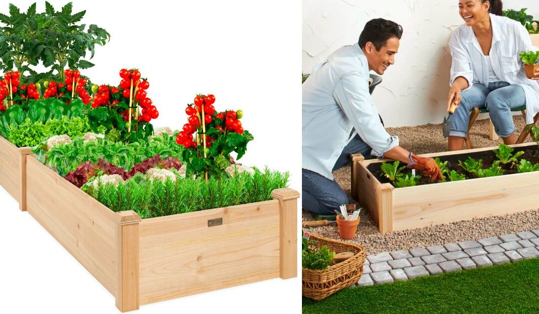 Garden Bed 8x2ft SOLO $74.99 en Walmart (Reg. $120)