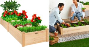 Garden Bed 8x2ft
