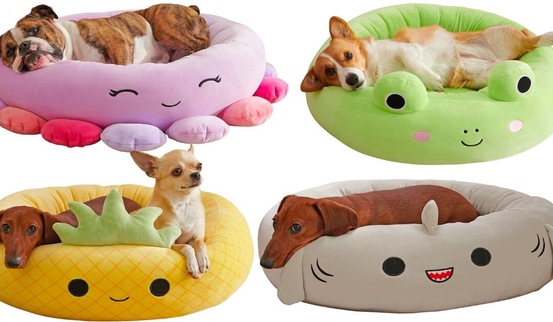 Camas Para Mascotas Squishmallow Rebajadas AHORA