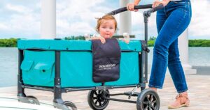 WonderFold-Wagon-Double-Stroller-Wagon
