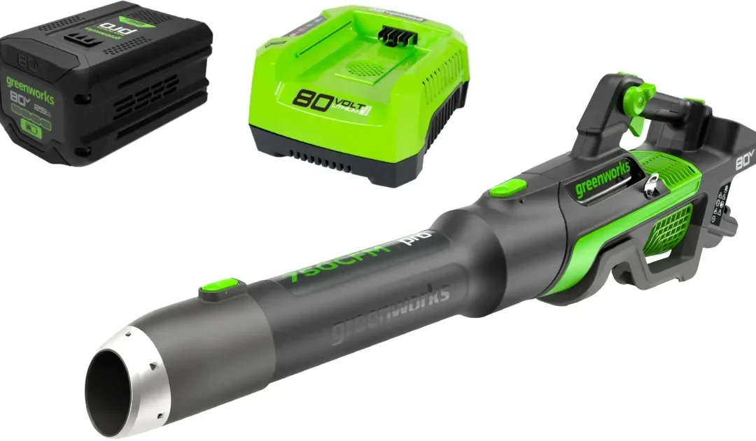 Soplador de Hojas Greenworks SOLO $179.99 (Reg $250)