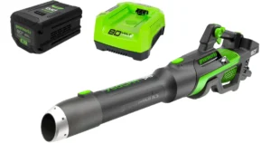 Soplador de hojas Greenworks con batería y cargador
