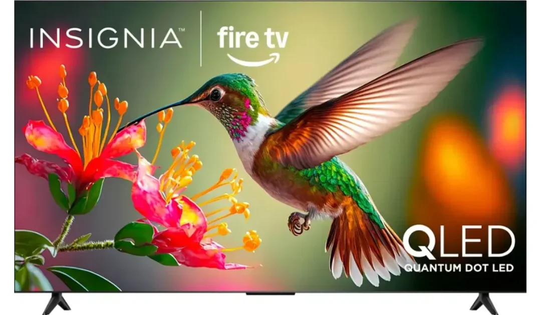 Insignia Class QF Series QLED 4K UHD Smart Fire TV 65-In SOLO $289.99 (Reg. $500)