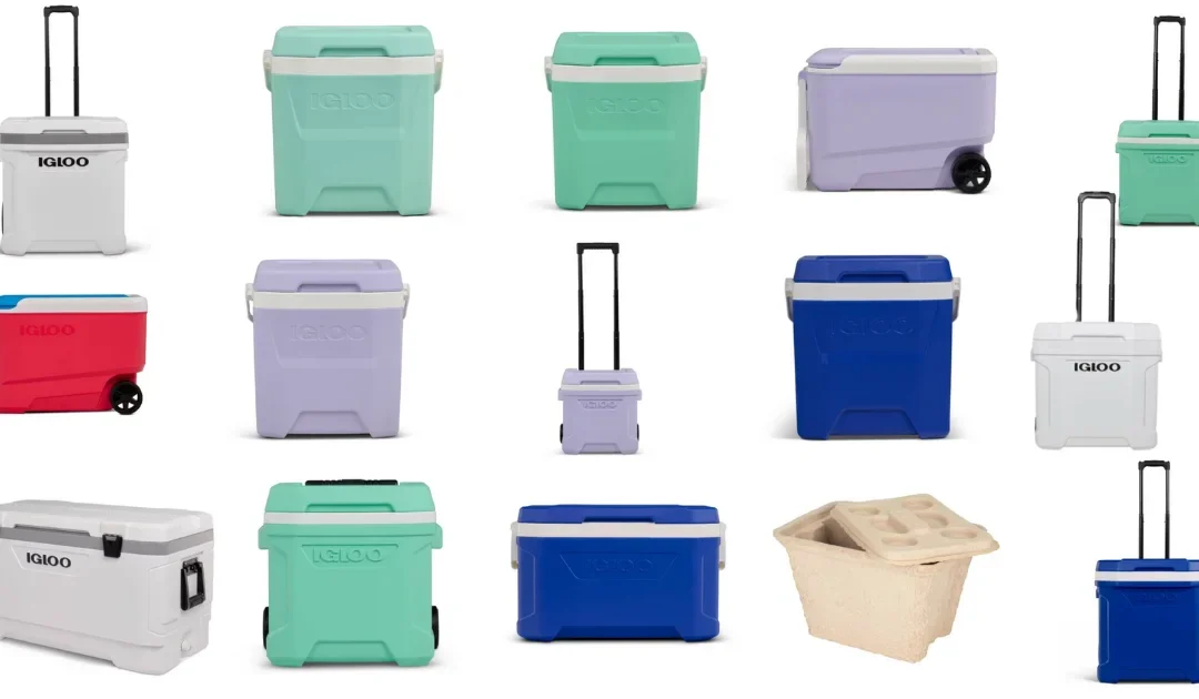 Neveras Portátiles Igloo – 20% de Descuento en Target