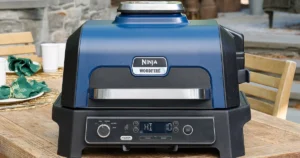 Ninja Woodfire Pro XL