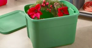 caja plastica de almacenamiento en Target