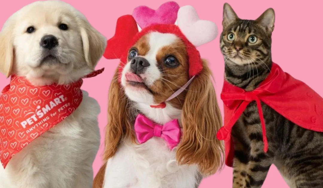 Evento de San Valentín en PetSmart GRATIS (Sesiones de Fotos, Premios + Cupón de $5)