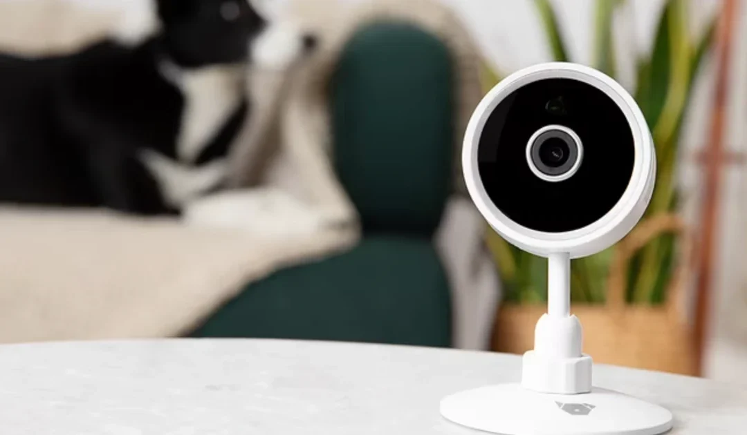 Mini Cámara Wi-Fi HD Para Mascotas SOLO $9.97 (Reg $25)