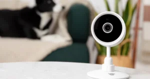 Mini Cámara Wi-Fi HD Para Mascotas